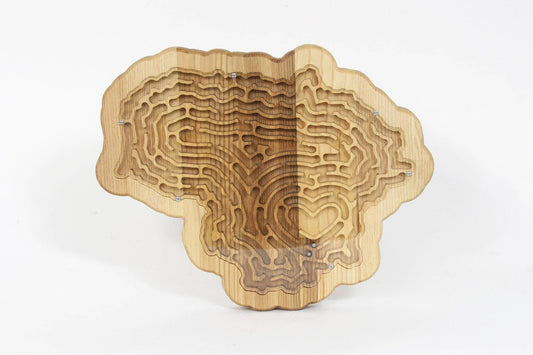 Lavinamasis žaislas - Labirintas Medinis (Šalies Pasirinkimas)
